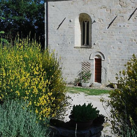B&B San Paterniano Cingoli Exteriér fotografie